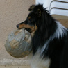 8 mars 2007 : Cheyenne (9 mois et demi) et son ballon adoré !