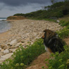 16 juillet 2007, en vacances en Vende : nous arrivons sur la plage. Le temps s'est couvert, mais elle est dserte, rien que pour nous... :)