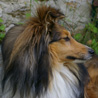 12 juin 2007 : portrait de Yukari (3 ans et demi).