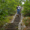 14 août 2008, forêt des Trois Pignons : Descente des 