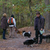 18 octobre 2008, for�t des Trois Pignons : En route pour une balade avec nos amies Flo et Bich-Ty, et leurs 4 pattes ! :)
