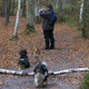 18 octobre 2008, for�t des Trois Pignons : Gio, Cheyenne, Volcane et Corwin font la course pendant que Manveru prend des photos automnales... :)