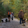 18 octobre 2008, for�t des Trois Pignons : le groupe en balade. ;)