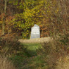 November 14th 2008, Bad Hombourg (Germany). The path leading to the Limes (old border of the Roman Empire).