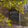 November 14th 2008, Bad Hombourg (Germany). The Limes stone (old border of the Roman Empire) seen from the other side.