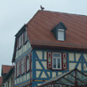 November 15th 2008, on the way to Niederkleen (Germany). A village with beautiful houses.