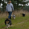 15 novembre 2008, Niederkleen (Allemagne). Cheyenne in the foreground, ears in the wind! ;) Behind her, Bea Engel with Indiana (blue merle bitch) and one of the bi-blacks.