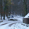 3 dcembre 2010 : Parking de la fort des Grands Avaux  Champcueil (91), o nous nous rendons rgulirement en balade.