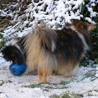 9 dcembre 2010 : les filles dans la neige. :)