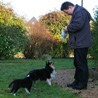 24 d�cembre 2008 � Maz� (Maine et Loire), chez mes parents : Lorelei a d�couvert avec joie le grand jardin ! Ici, Cheyenne et elle sont bien attentives devant Manveru... ou plut�t devant le sac de friandises ! ;)