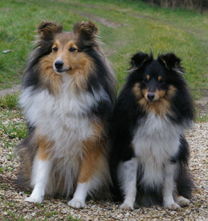 Yukari et sa fille Cheyenne - février 2008